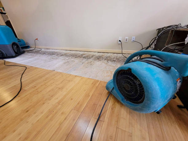 Professional Emergency Water Damage technician working in Bennett, CO